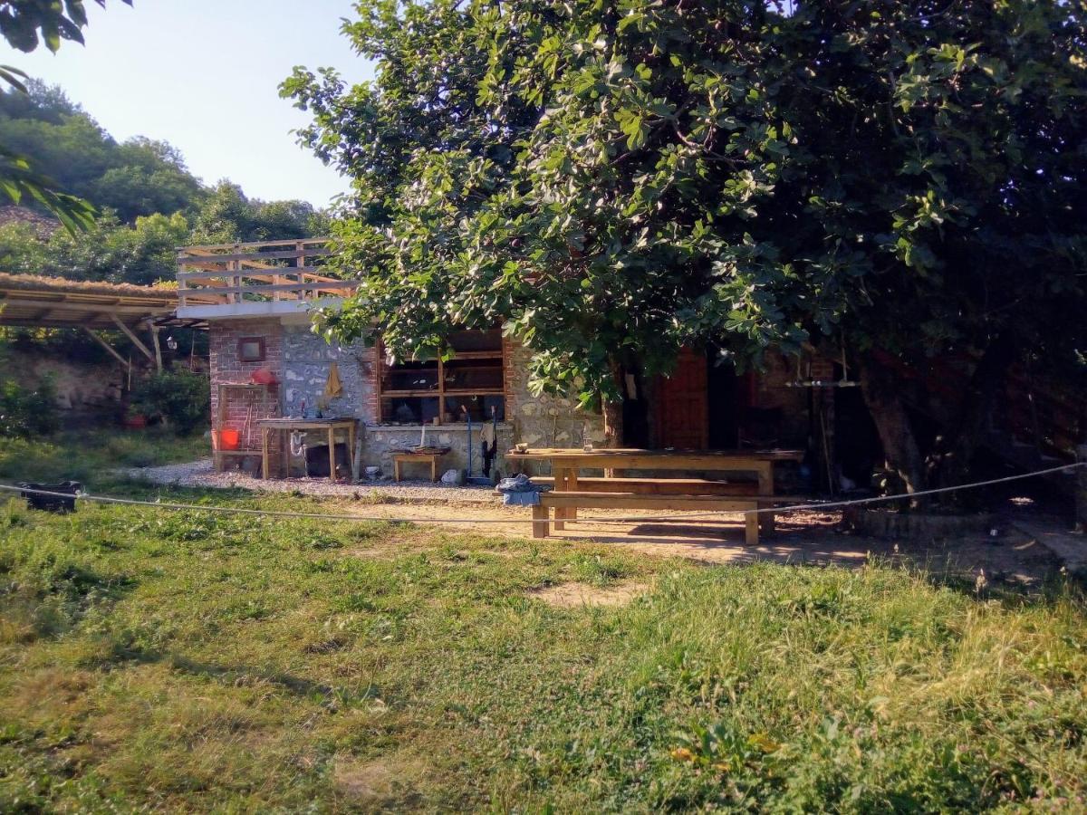 The House In The Village Pellumbas Kültér fotó
