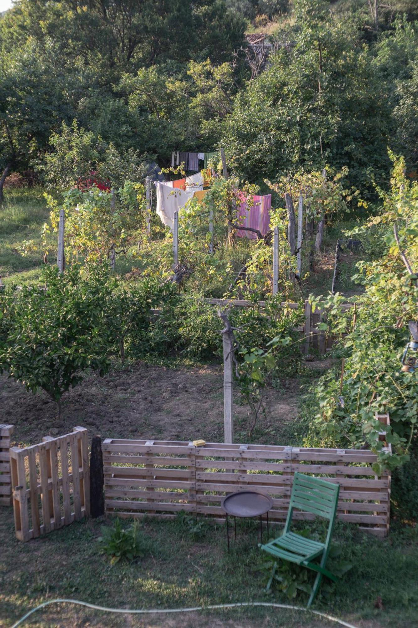 The House In The Village Pellumbas Kültér fotó