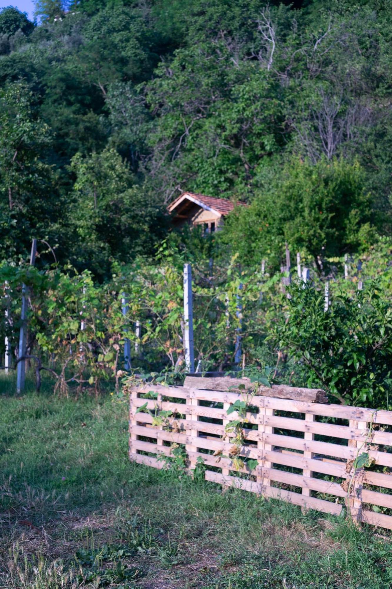 The House In The Village Pellumbas Kültér fotó